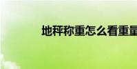 地秤稱重怎么看重量(地秤)
