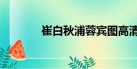崔白秋浦蓉賓圖高清(崔白)