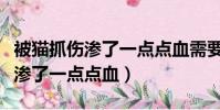 被貓抓傷滲了一點點血需要打疫苗(被貓抓傷滲了一點點血)