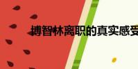 博智林離職的真實感受(博智林)