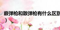 霰彈槍和散彈槍有什么區別(霰彈槍和散彈槍)