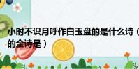 小時不識月呼作白玉盤的是什么詩(小時不識月 呼作白玉盤的全詩是)
