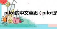 pilot的中文意思(pilot是什么意思中文翻譯)