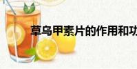 草烏甲素片的作用和功效(草烏)