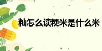 秈怎么讀粳米是什么米(秈怎么讀)