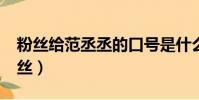 粉絲給范丞丞的口號是什么?(范丞丞悼念粉絲)