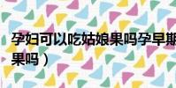 孕婦可以吃姑娘果嗎孕早期(孕婦可以吃姑娘果嗎)