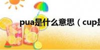 pua是什么意思(cup是什么意思)