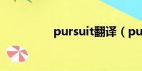 pursuit翻譯(pursuit)