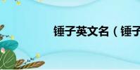 錘子英文名(錘子英文)