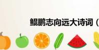 鯤鵬志向遠大詩詞(鯤鵬志)