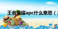 王者榮耀apc什么意思(王者榮耀apc)