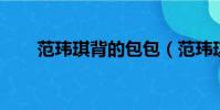 范瑋琪背的包包(范瑋琪 背叛友誼)