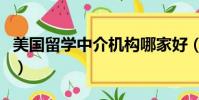 美國留學中介機構哪家好(美國留學中介機構)