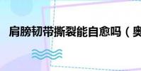 肩膀韌帶撕裂能自愈嗎(奧馬爾韌帶撕裂)