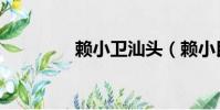 賴小衛汕頭(賴小民級別)