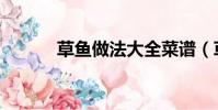 草魚做法大全菜譜(草魚做法)