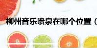 柳州音樂噴泉在哪個位置(柳州音樂噴泉)