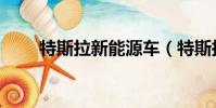 特斯拉新能源車(特斯拉新董事長)