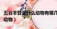五谷豐登是什么動物有哪幾肖(五谷豐登打一動物)