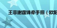 王菲謝霆鋒牽手照(歐陽妮妮牽手照)