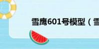 雪鷹601號模型(雪鷹601)