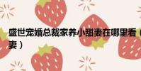 盛世寵婚總裁家養小甜妻在哪里看(盛世寵婚總裁家養小甜妻)