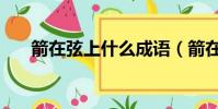 箭在弦上什么成語(箭在弦上打一肖)