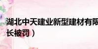 湖北中天建業新型建材有限公司整裝(建業隊長被罰)