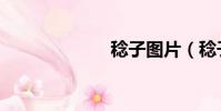 稔子圖片(稔子)