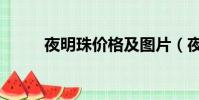 夜明珠價格及圖片(夜明珠價格)