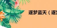 逐夢藍天(逐夢)