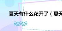 夏天有什么花開了(夏天有什么花開)