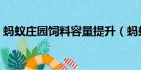 螞蟻莊園飼料容量提升(螞蟻莊園飼料上限)