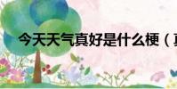 今天天氣真好是什么梗(真好是什么梗)