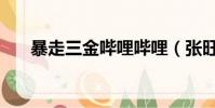 暴走三金嗶哩嗶哩(張旺麗包攬三金)