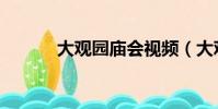 大觀園廟會視頻(大觀園廟會)