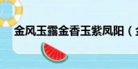 金風玉露金香玉紫鳳陽(金香玉花圖片)