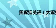 黑猩猩英語(大猩猩英語)