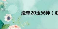 浚單20玉米種(浚單20)