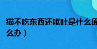 貓不吃東西還嘔吐是什么原因(貓不吃東西怎么辦)