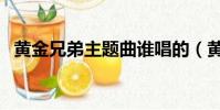 黃金兄弟主題曲誰唱的(黃金兄弟主題曲)