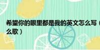 希望你的眼里都是我的英文怎么寫(希望你的眼里就是我什么歌)