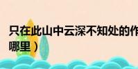 只在此山中云深不知處的作者(云深不知處在哪里)
