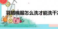 羽絨棉服怎么洗才能洗干凈(羽絨棉服)