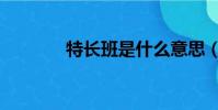 特長班是什么意思(特長班)