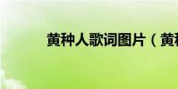 黃種人歌詞圖片(黃種人歌詞)