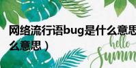 網絡流行語bug是什么意思(流行語bug是什么意思)