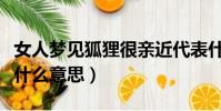 女人夢見狐貍很親近代表什么(女人夢見狐貍什么意思)