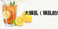 大騷亂(騷亂的意思)